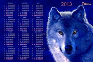 Календарь на 2013 и  2014 года -  Белый волк