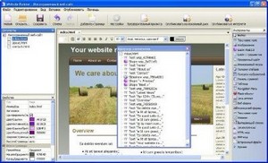 WebsitePainter Professional 2.1.0 (2012) ML + Portable