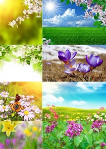 Растровый клипарт - Весенне-летние цветочные фоны