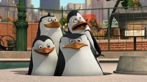  :   / Penguins Of Madagascar: Operation Vacation (2012) DVDRip