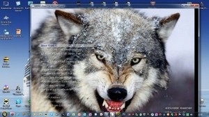 Wolf USB Installation 3 Windows Update 30.08.2012 (WinXP-Win7-Win8/RUS/ENG/2012)