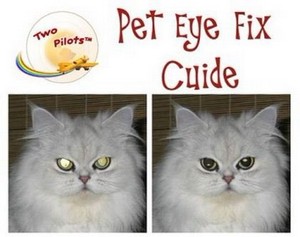 Pet Eye Fix Guide 1.3