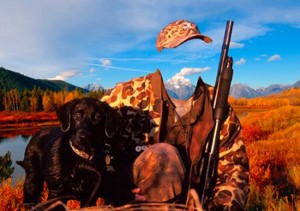 Шаблон для фотошопа – На охоте с собакой