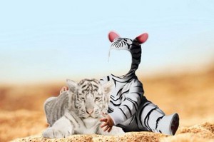 Шаблон для фотошоп – Два тигренка