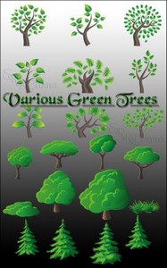   -   / Various Green Trees