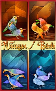   -  / Birds