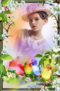 Детская рамочка для фото - Красивые попугайчики