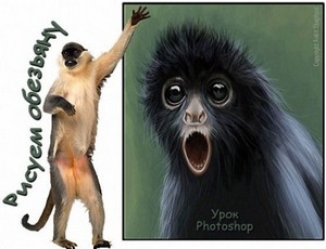 Урок Photoshop Рисуем обезьяну
