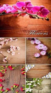 Цветы на деревянной поверхности (HQ фоны)