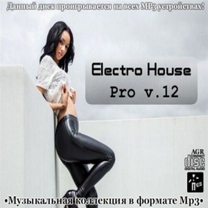 VA - Electro House Pro V.12 (2012)