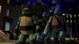 - /    / Nickelodeon Teenage Mutant Ninja Turtles [01-12] (2012/WEB-DLRip/ ( )ZM-SHOW & Arasi Project)