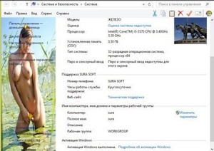 Windows 8 x86 Enterprise SURA SOFT v1.1 (2013/RUS)