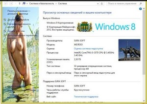 Windows 8 x86 Enterprise SURA SOFT v1.1 (2013/RUS)