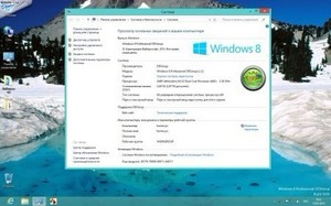 Windows 8 Professional vl DDGroup v2 12.01.13 (RUS/x64)