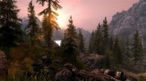 The Elder Scrolls V: Skyrim Reincarnation Revised (2012/Rus/Repack  Eric_D)