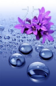 PSD Source - Blue Drops Of Water Lily Background