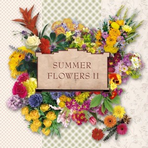 Scrap-set - Summer Flowers 2