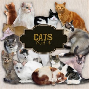 Scrap-kit - Cat PNG Images 2