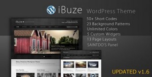 ThemeForest - iBuze v1.6 - Premium WordPress Theme