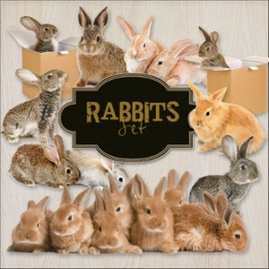 Scrap-kit - Rabbit PNG Cliparts 2