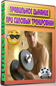      (2013) DVDRip