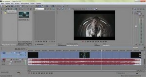 Portable Sony Vegas Pro 10.0e Build 737 by punsh