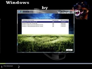 Windows 8 & 7 x86-x64 Mega Gibrid 2013 1.0 (2013/RUS)