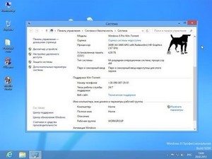 Windows 8 & 7 x86-x64 Mega Gibrid 2013 1.0 (2013/RUS)