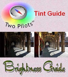 Tint Guide Brightness Guide 1.0