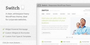 ThemeForest - Switch v1.2 - Responsive WordPress Theme