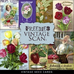 Scrap-kit - Vintage Seed Cards