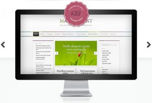 ElegantThemes - Magnificent v3.1 - WordPress Theme