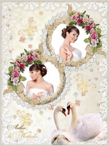 Свадебная рамка для фотошопа - Лебеди, розы, бабочки, кружева