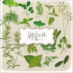 Scrap Set - Herbal PNG Files