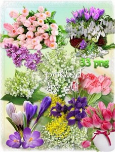 Весенние цветы - подснежники, крокусы, тюльпаны, мимоза, сирень на прозрачн ...