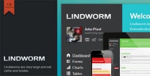 ThemeForest - Lindworm - Responsive Admin Template