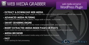 CodeCanyon - Web Media Grabber WordPress Plugin v1.2.3