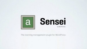 Sensei v1.0.1 - Theme For WordPress