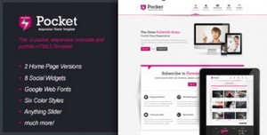 ThemeForest - Pocket - Responsive HTML5 Theme