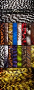 WeGraphics - Barred Feather Textures