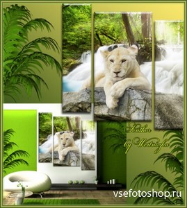 Белый лев, царь зверей, хищник семейства кошачьих - Триптих в psd формате