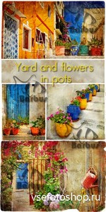 Yard and flowers in pots /      - photo stock