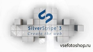 SilverStripe CMS v3.1.0