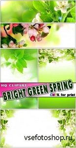 Вишни цвет и зеленая весна (+ CMYK for print)