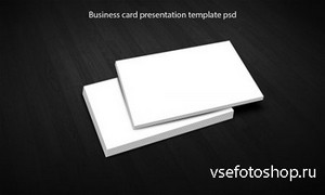 Business Card Presentation Templates PSD