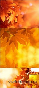 Rastr Cliparts - Autumn Backgrounds Images