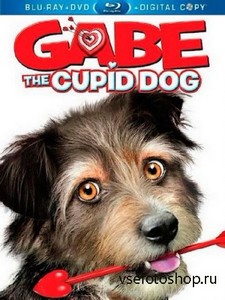 - / Gabe the Cupid Dog  (2012) HDRip
