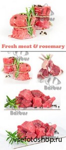 Fresh meat and rosemary /      - Photo stock