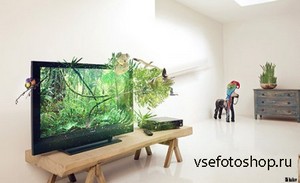 3D TV - PSD Source