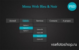 Black & Blue Web Menu in PSD File